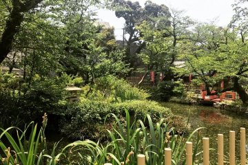 Shrine and pond across from the compound