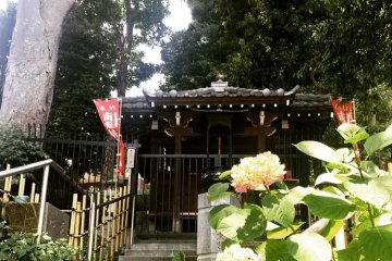 Temple building inside of the compound