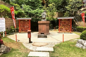 Area where the singles ritual takes place