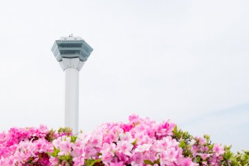 Menara Goryokaku, di mana Anda dapat melihat pemandangan Taman Goryokaku yang berbentuk bintang