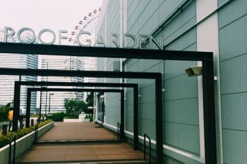 View walking into the roof garden