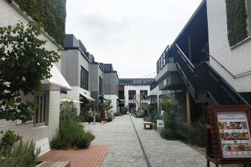 A shot of the center of the complex