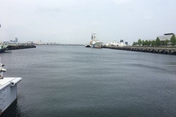 View of the bay from the complex's back side