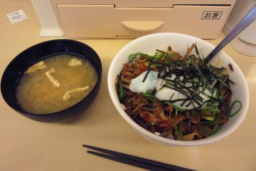 Just an ordinary lunch on the Shinkansen