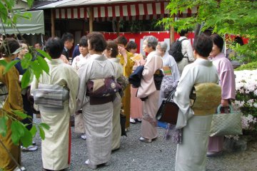 The public of Miyako Odori