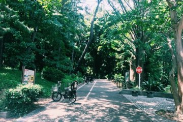 Melihat ke dalam Taman Rinshi No Mori