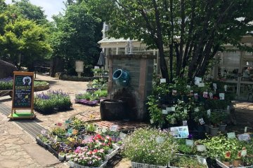 The greenhouse where plants are sold