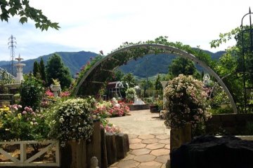 Looking into part of the garden
