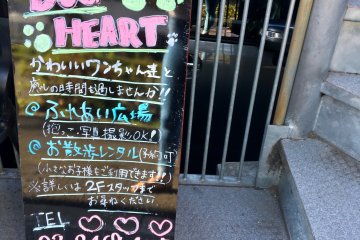 Papan depan dari Dog Heart