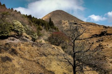  As you decend further down the landscape soon resembles ‘hobbit country’ from Lord of the Rings