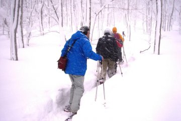 Yumiharidaira Snowshoe Trekking
