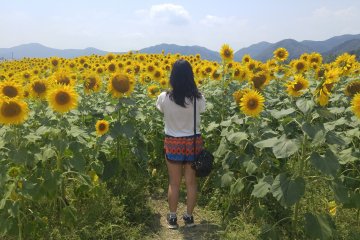 Admiring the flowers