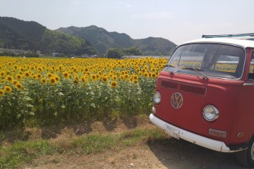 A VW Campervan completes the ensemble