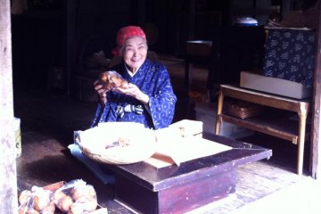 Ryukyu Mura Cultural Park 