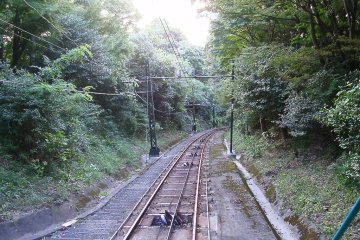 View from the cable car, going up Mount Maya