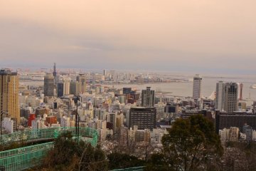 Venus Bridge, Kobe