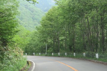 The Venus Line Road