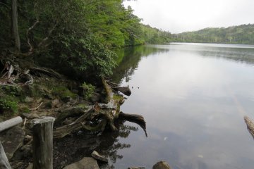 Shirakoma Pond