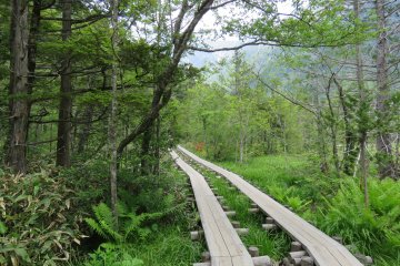 Path along Dakeswa Marsh