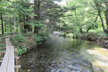 Walkway along stream near marsh