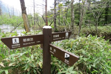 Well marked trails