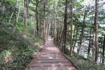 Wooden path near Myojin Bridge