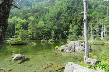 Myojin Pond is fed by several springs