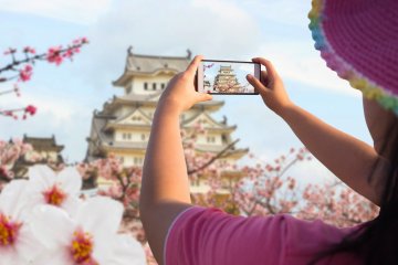 Stay Connected with an IIJmio SIM