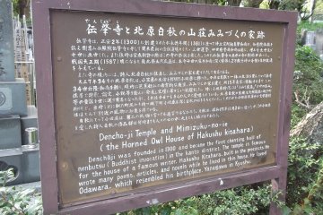 Some information about the temple's history