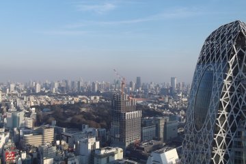 Shinjuku Cocoon Tower