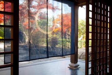 Looking out of the restaurant through the noren entrance