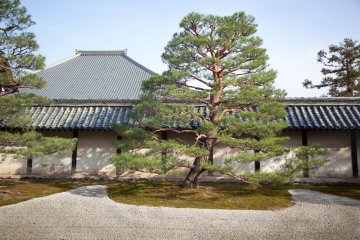The grounds of the temple complex are impeccably kept and very relaxing