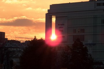 Arriving just in time to catch the fading sun 