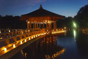 <p>Voyage dans le temps en contemplant les illuminations</p>