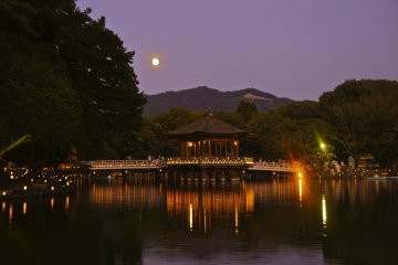 <p>Durant la pleine lune, c'est certainement l'un des endroits les plus romantiques que l'on puisse imaginer</p>