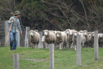Koiwai Farm