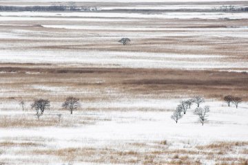 Kushiro marshland from above