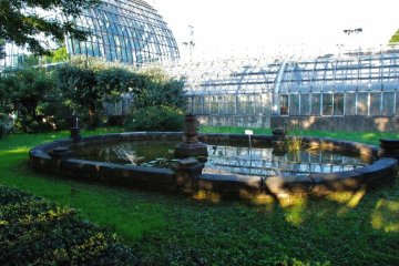Koishikawa Botanical Garden Green House