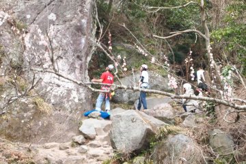 Rock Climbers