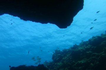 In shallower depths you can find a few rocks and sit in between, looking up