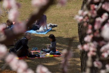 <p>Or they would look for a shady place to relax</p>