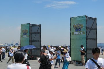 Pokemon Go Park