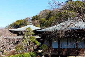 The main hall of Zuisen-ji Temple