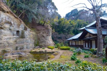 Rock garden in early spring