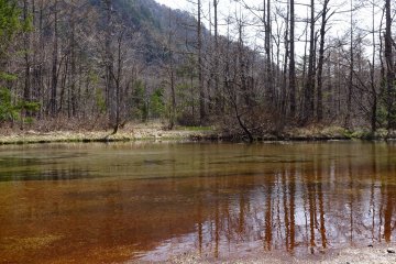 Brown and metallic green sediments in a pond.