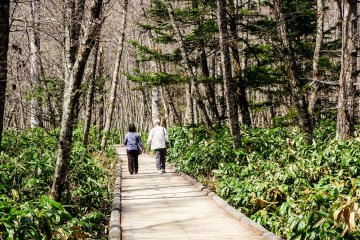 Taisho-ike hike