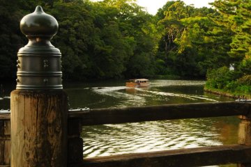 A view from the bridge