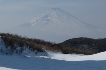 Fuji. Above the clouds.