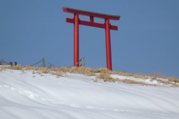 Fuji. Above the clouds.