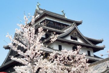Matsue Castle
